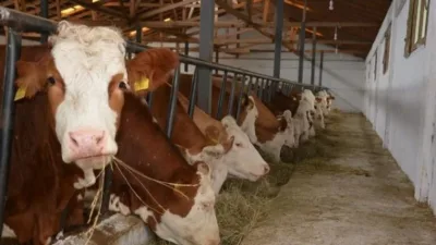 Giresun İl Tarım ve Orman Müdürlüğü, 2025 yılı birinci dönemine