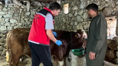 Giresun’da yetiştiricilere şap uyarısı!