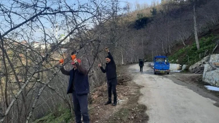 Giresun'un Güce ilçesindeki çiftçilerden örnek hareket!