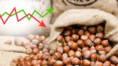 Karadeniz’in stratejik tarım ürünlerinden fındıkta 17 Mart 2026 itibarıyla serbest