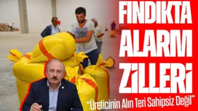 Arsin Ziraat Odası Başkanı Hasan Kozoğlu, fındık fiyatlarındaki sert düşüşe