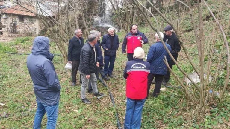 Fındıkta doğru budama verimi artırıyor
