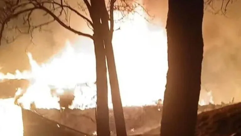 Giresun’da yangın çıkan ev kül oldu