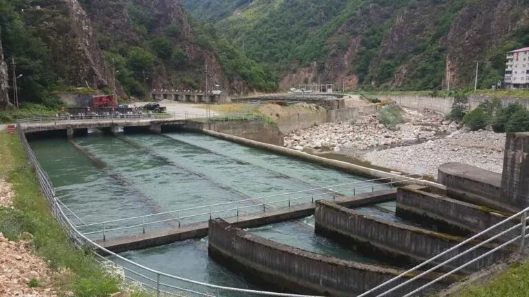 Giresun'un dereleri HES'lere teslim