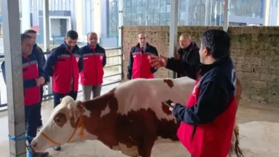 Hayvancılık sektöründe üretici ve tüketici haklarını korumak, et piyasasında kalite