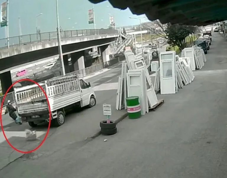 Otobüsün çarptığı üniversite öğrencisi ağır yaralandı, kaza kamerada Köpekten kaçarken otobüsün çarptığı üniversite öğrencisi ağır yaralandı, kaza kamerada