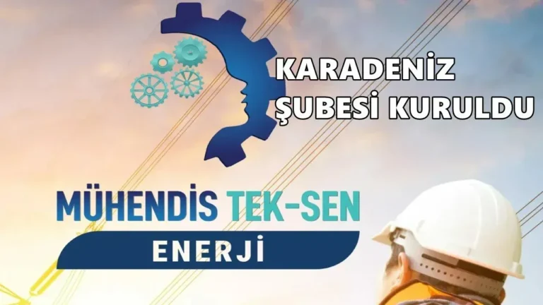 Enerji, Sanayi ve Madencilik hizmet kolunda faaliyet gösteren Mühendis Tek-Sen