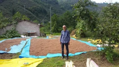 Giresun Ziraat Odası Başkanı Nurittin Karan, fındık piyasasında yaşanan eşi