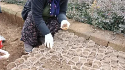 Doğaya dost fidan üretimi