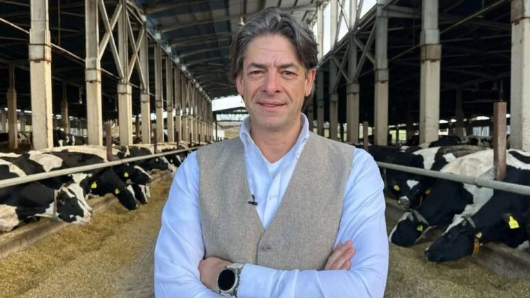 CHP’li Solakoğlu Giresun’da fındık üreticilerini dinleyecek