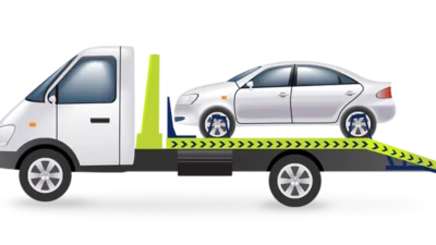 Yeşilin maviyle en cömertçe kucaklaştığı, kirazın anavatanı ve fındığın dünyadaki