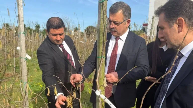 Fındık Araştırma Enstitüsü’ndeki bilimsel çalışmalara takip