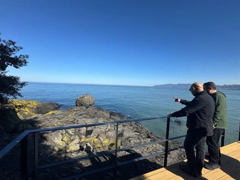 Giresun Adası için Vali Koç’tan talimat Giresun Adası için Vali Koç'tan talimat