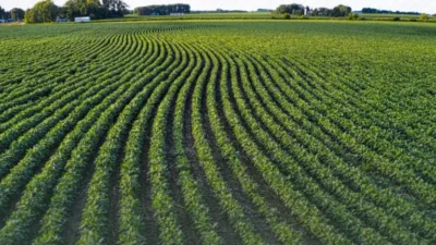 Resmi Gazete’de yayımlanan Cumhurbaşkanı Kararı ile işlenmeyen ve nadasa bırakılan