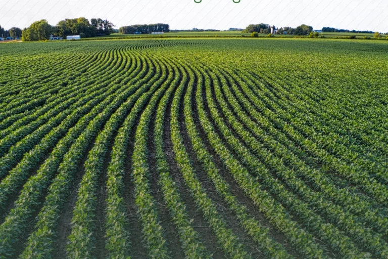 Tarımda Yeni Destek: İşlenmeyen Arazilere Yüzde 75 Hibe Desteği Resmi Gazete’de yayımlanan Cumhurbaşkanı Kararı ile işlenmeyen ve nadasa bırakılan