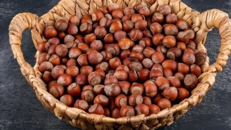 Fiskobirlik Fındık Fiyatlarını Aynı Gün İki Kez Düşürdü: Fındık 210 Liraya Geriledi! Giresun’da FİSKOBİRLİK’in 24 Mart’ta açıkladığı fındık alım fiyatlarında aynı gün