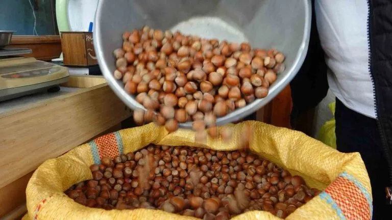 Bayram öncesi kuruyemiş fiyatları yükseldi: Giresun fındığı 1500 TL’yi gördü Ramazan Bayramı öncesinde Bursa’daki kuruyemiş tezgâhlarında hareketlilik arttı. Artan talep