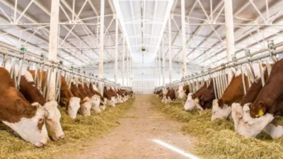 Giresun İl Tarım ve Orman Müdürlüğü, 2025 yılı 2’nci dönem