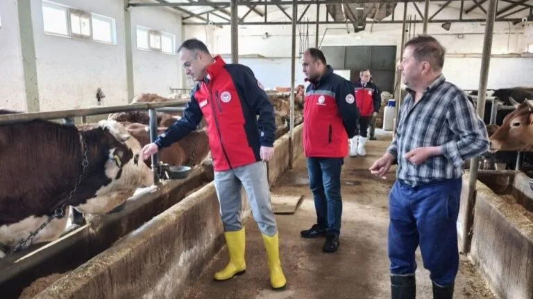 Giresun’da şap hastalığına karşı yürütülen aşılama çalışmaları kapsamında Güneyköy’de önemli