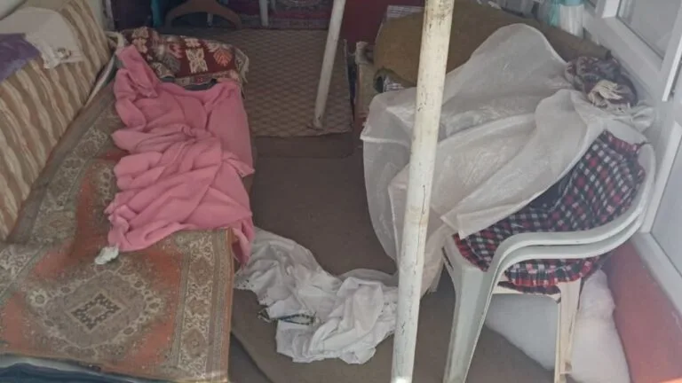 Giresun ile Trabzon sınırındaki Sis Dağı Yaylası’nda ayılar yeniden yayla