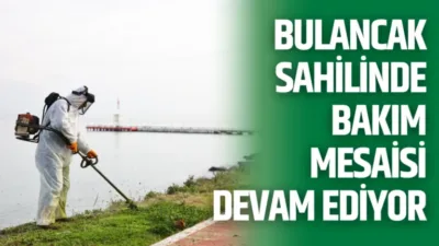 Bulancak sahilinde bakım çalışmaları, Park ve Bahçeler Müdürlüğü ekiplerinin ot