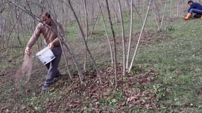 Orta Doğu’da İran, İsrail ve ABD arasında başlayan savaşın etkileri