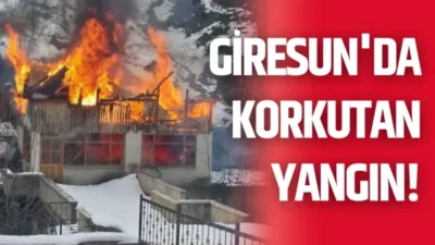 Giresun’un Dereli ilçesinde bulunan bir balık tesisinde çıkan yangın paniğe