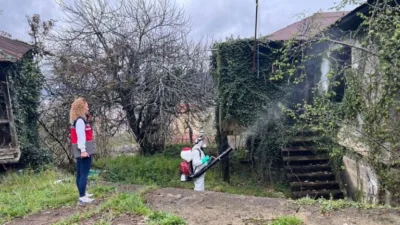 Giresun’da fındık başta olmak üzere tarımsal üretimi tehdit eden Kahverengi