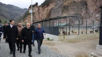 Giresun Valisi Mustafa Koç, Bulancak ilçesinde hizmete giren Sokak Hayvanları