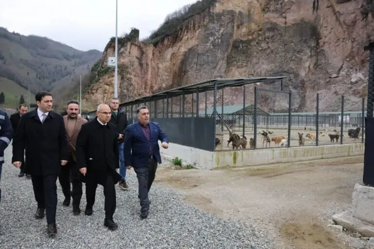 Giresun Valisi Mustafa Koç, Bulancak ilçesinde hizmete giren Sokak Hayvanları