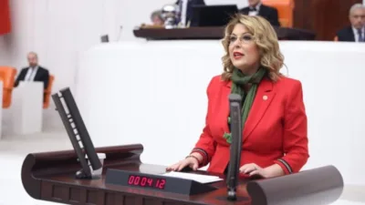 CHP Giresun Milletvekili Elvan Işık Gezmiş, Ordu-Giresun Havalimanı’ndaki sefer ve