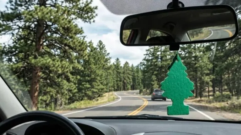 DMM’den Resmi Açıklama Geldi: Araç İçi Koku ve Telefon Tutucu Yasaklandı mı?