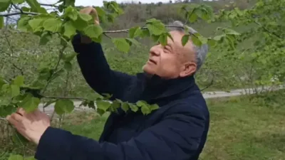 Giresun’da yeni sezon öncesi fındık bahçelerinde tablo üreticiyi umutlandırıyor. Zirai