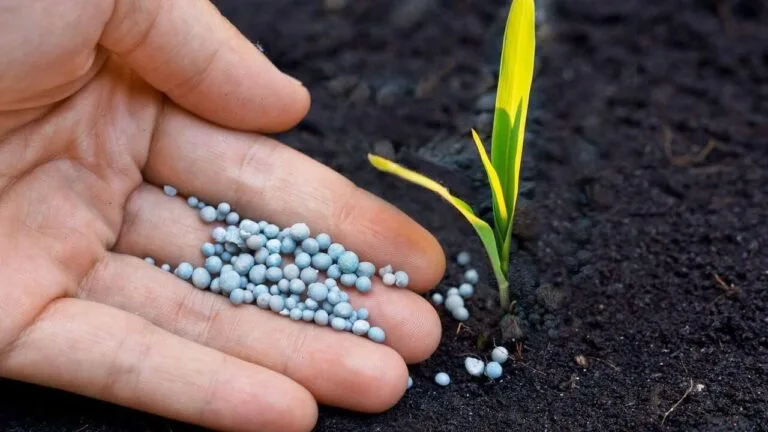 Ticaret Bakanlığı, gübre arz güvenliğini korumak ve spekülatif fiyat hareketlerinin