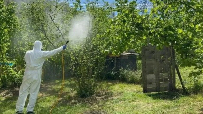 Giresun İl Tarım ve Orman Müdürlüğü, fındık üreticilerini yakından ilgilendiren