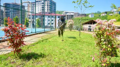 Giresun Belediyesi, yaz mevsiminin etkisini göstermesiyle birlikte kent genelindeki bakım,