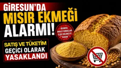 Giresun’da mısır unu yasağı, Piraziz’de yaşanan gıda zehirlenmesi şüphesi sonrası