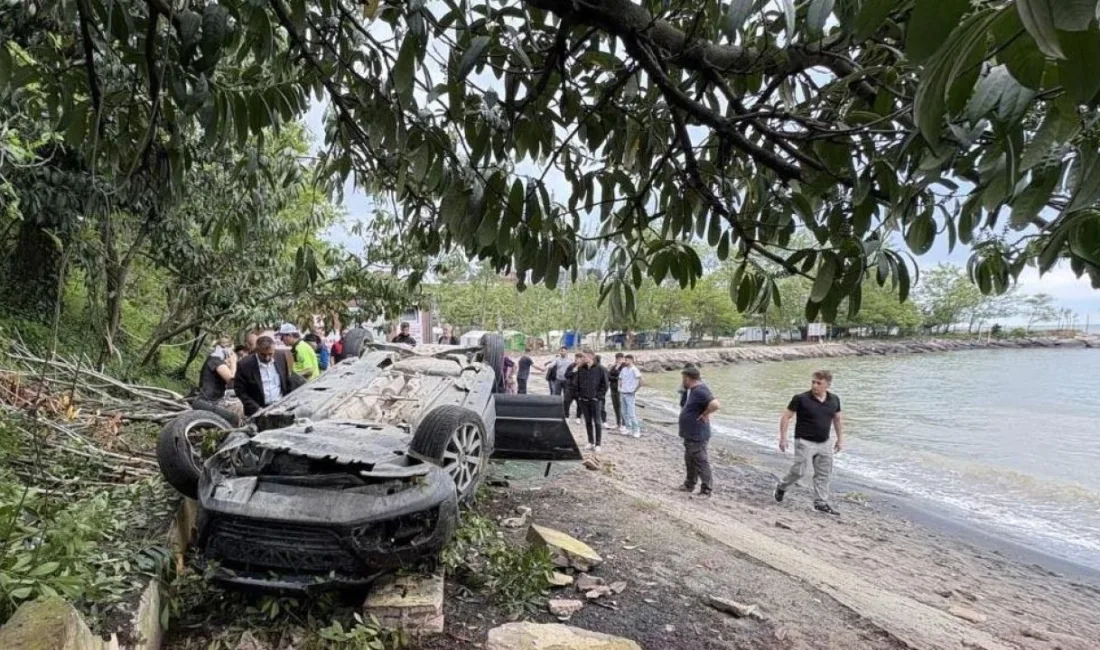 Giresun’un Piraziz ilçesinde, sürücüsünün kediye çarpmamak için manevra yaptığı otomobil