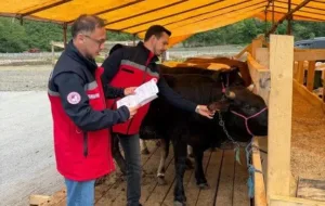 Giresun’da Kurban Bayramı öncesi kurbanlık denetimi artırıldı. İl Tarım ve