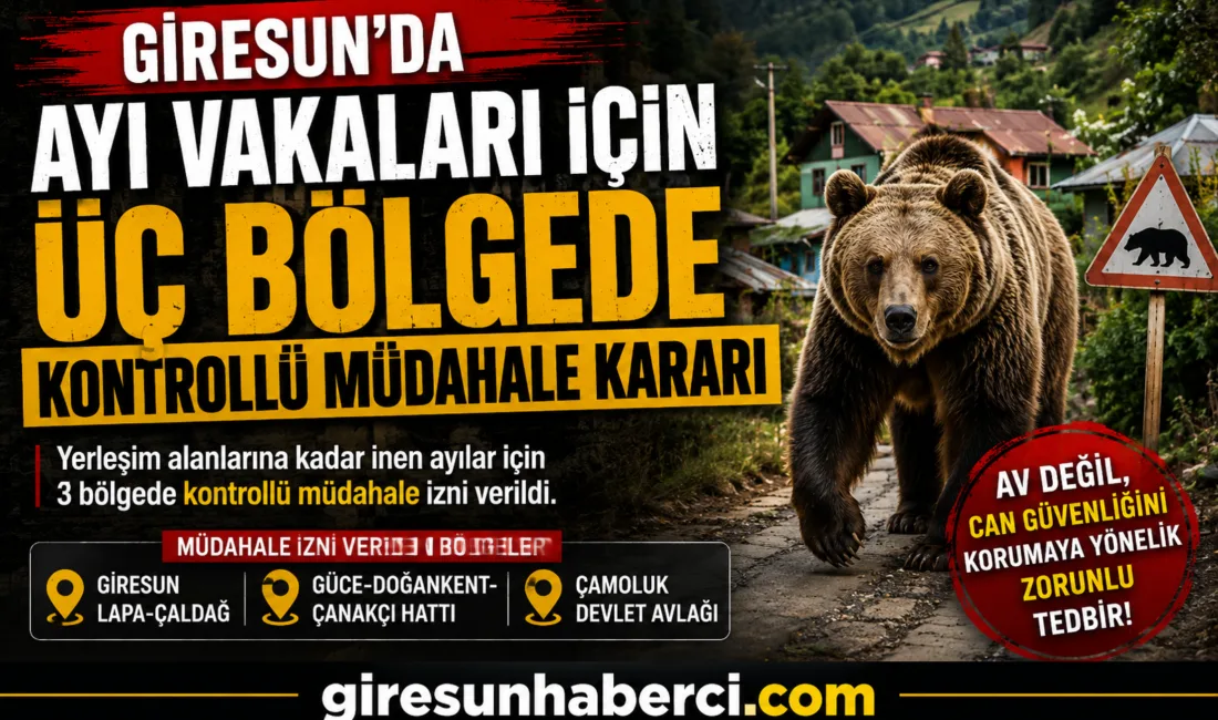 Giresun’da yerleşim alanlarına kadar inen ve insan güvenliğini tehdit ettiği