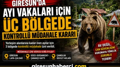 Giresun’da yerleşim alanlarına kadar inen ve insan güvenliğini tehdit ettiği