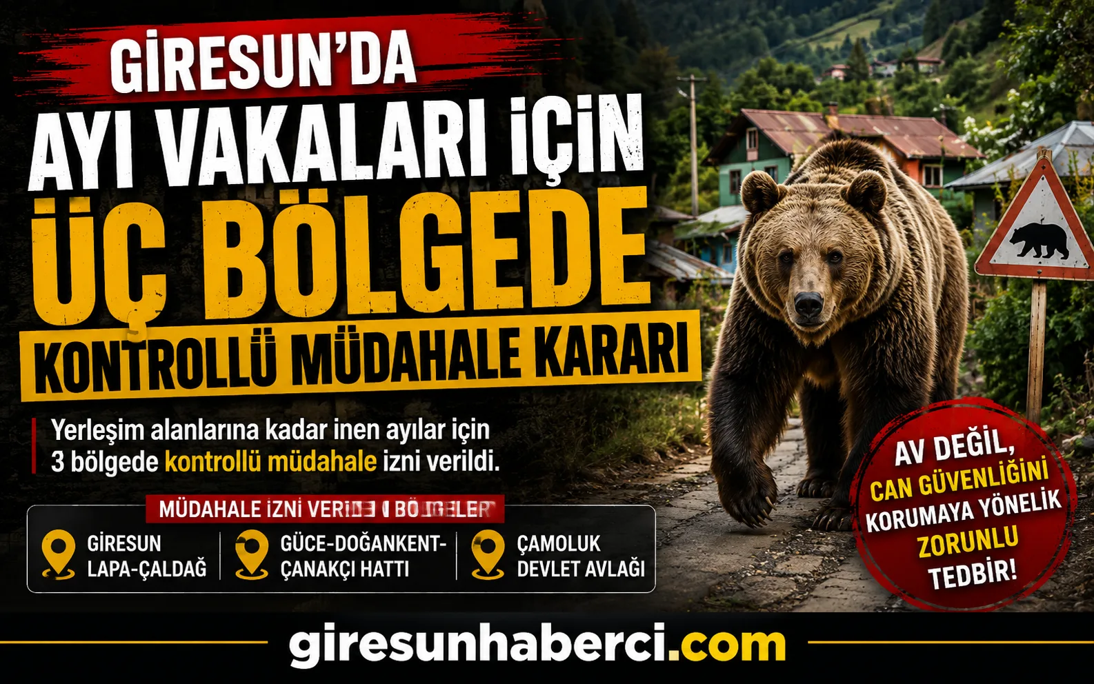 Giresun’da yerleşim alanlarına kadar inen ve insan güvenliğini tehdit ettiği