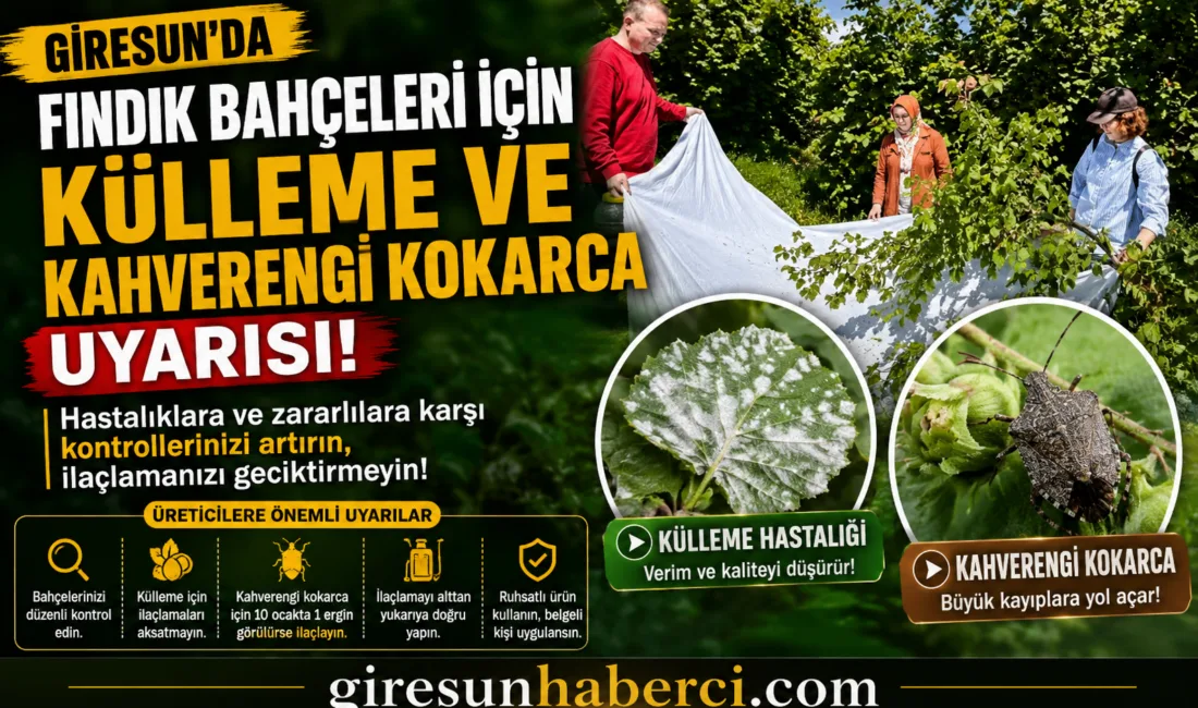 Giresun İl Tarım ve Orman Müdürlüğü, fındık bahçelerinde külleme hastalığının
