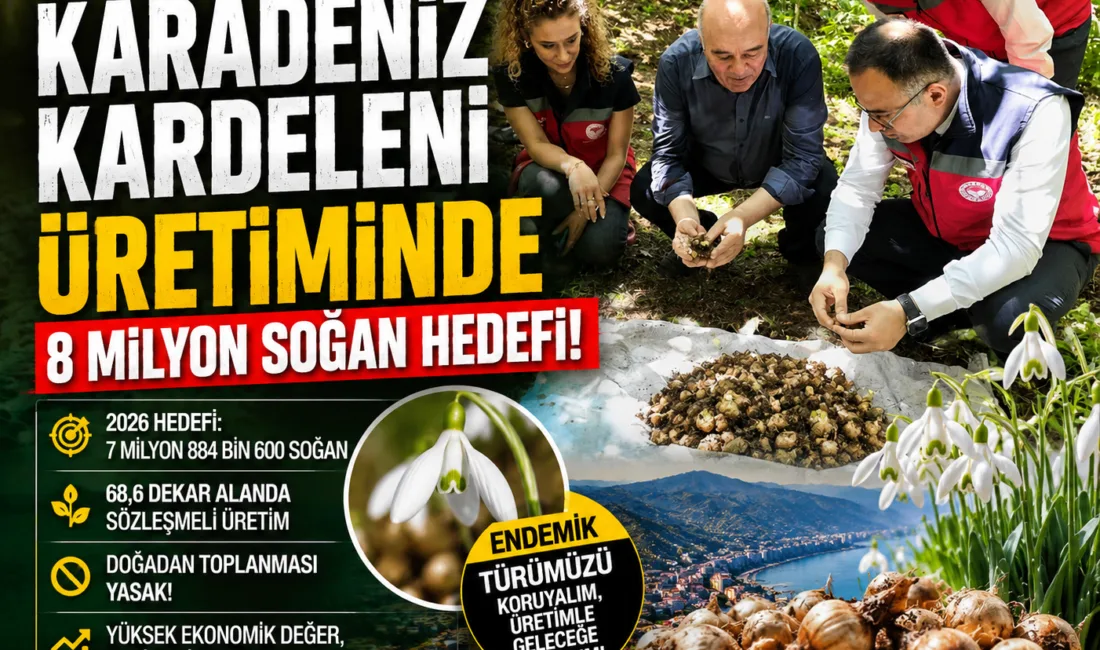 Giresun’da yüksek ekonomik değere sahip Karadeniz Kardeleni üretimi için 2026