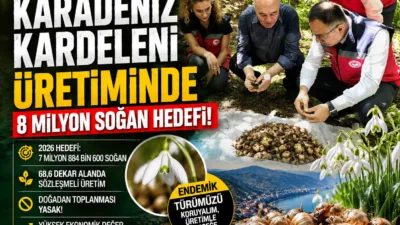 Giresun’da yüksek ekonomik değere sahip Karadeniz Kardeleni üretimi için 2026