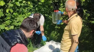 Giresun’da fındık bahçelerini tehdit eden kahverengi kokarcaya karşı biyolojik mücadele