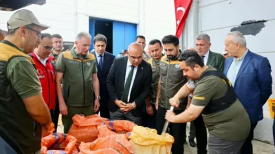Giresun kalite fındık için kilogram başına 255 TL alım fiyatı