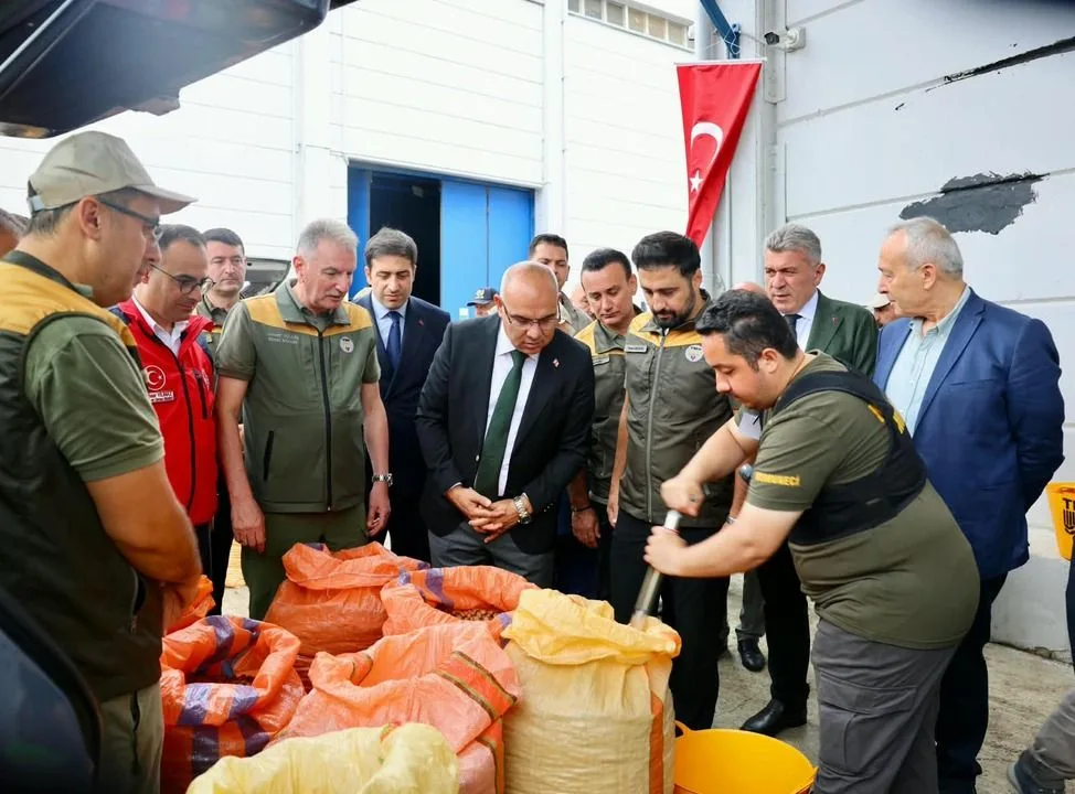 Giresun kalite fındık için kilogram başına 255 TL alım fiyatı