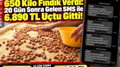 Toprak Mahsulleri Ofisi'ne (TMO) 650 kilogram fındık teslim eden üreticinin